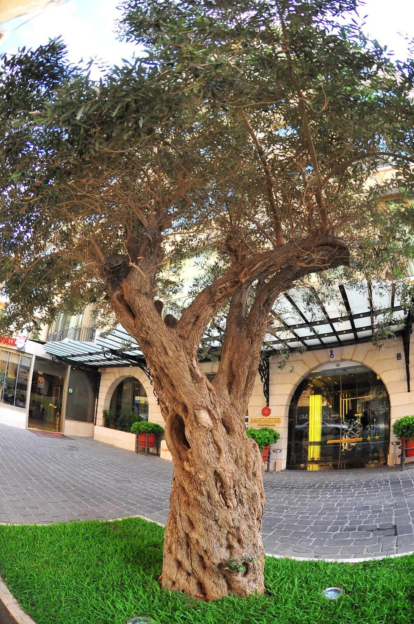 Lancaster Raouche Hotel Beirut Exterior foto